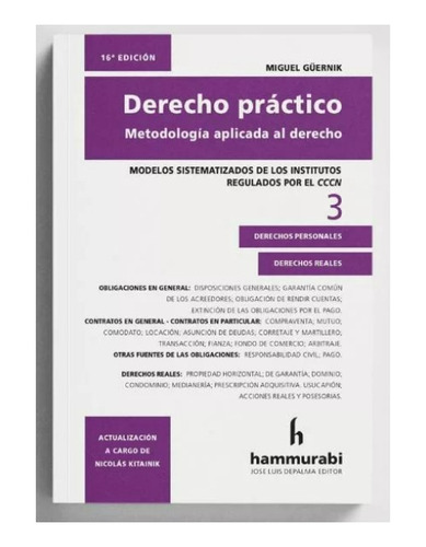 Derecho Practico Vol 3: Metodología Aplicada Al Derecho: Modelos Sistematizados De L, De Güernik Kitainik. Editorial Hammurabi, Tapa Blanda, Edición 1 En Español, 2023