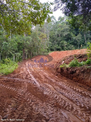 Chácara Para Venda Em Pedra Bela, - - 1813_2-1060266