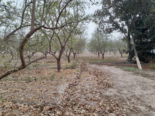 Excelente Oportunidad De Parcelas En Buin