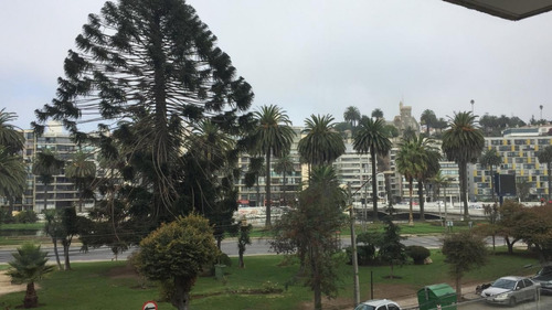 Viña Del Mar, Departamento Edificio Plaza México