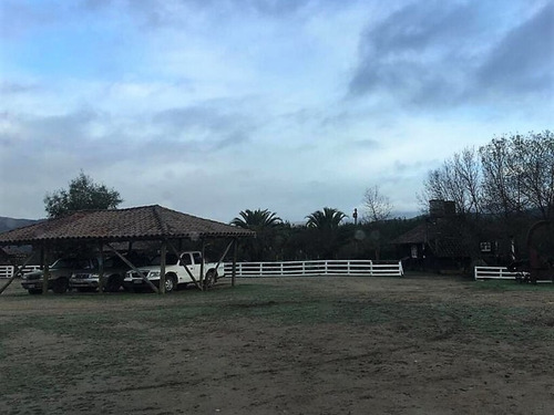 Cauquenes Viñas Y Forestal, 2 Tranques (70047)