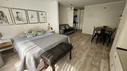 Departamento En Venta Pedro De Valdivia, Providencia