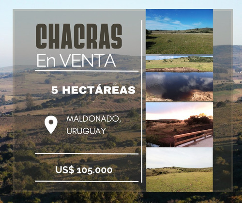 Chacras De 5 Hectareas A Excelente En Maldonado