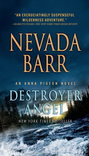 Libro Destroyer Angel Nuevo