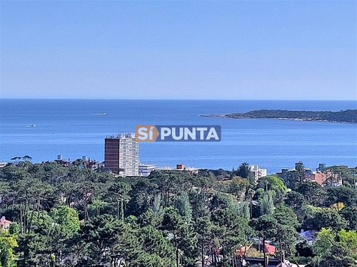 Imagen 3 de 17 de Amplio Apartamento En Piso Alto, Con Excelente Vista Al Mar.