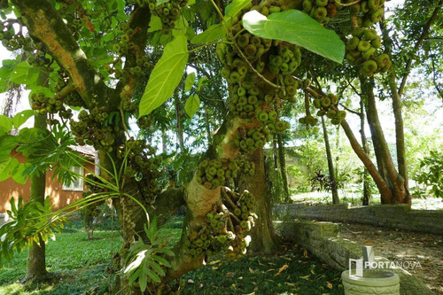 Casa Em Condomínio Com 4 Dormitórios À Venda, 450 M² Por R$ 1.600.000 - Condomínio Iolanda - Taboão Da Serra/sp - Ca0319