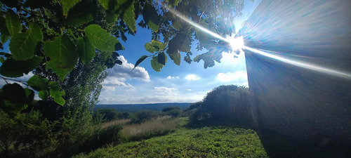 Imagen 4 de 30 de Campo 7 Hectreas Plano Con Chalet, San Esteban