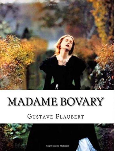 Madame Bovary (french Edition), De Flaubert, Gustave. Editorial Oem, Tapa Blanda En Francés