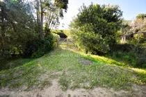 Comprar Te1499- Terreno Con Vista Al Mar Y A Los Cerros. Entorno Natural. Se Encuentra Nivelado, Limpio Y Arbolado. 
