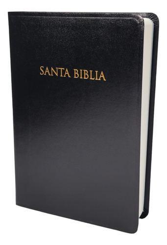 Biblia Reina Valera 1960 Con Concordancia Tapa Vinil