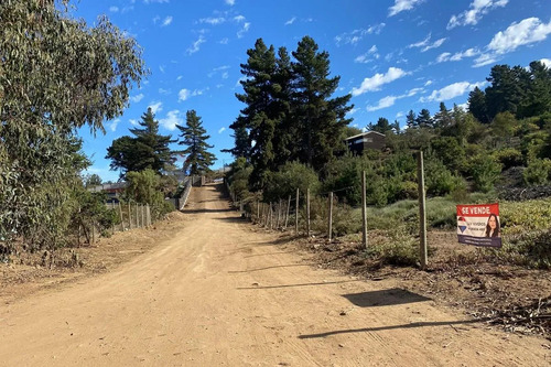 Terreno 1.500m² Alta Plusvalía En Reñaca Los Pinos