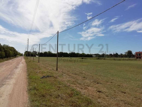 Imagen 25 de 30 de 486 Y 147. Lote De 990 M2 En Venta - Fincas De Gorina.-