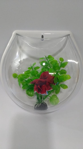 Aquário 1/2 Globo Parede 1,5lt Betta Planta Decor Acrílico N