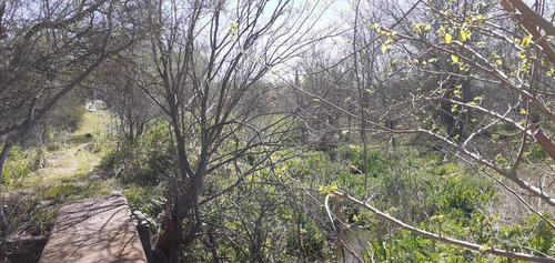 Imagen 17 de 30 de Terreno En Venta En La Plata Calle 44 Esq 177 - Dacal Bienes Raices