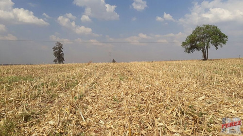 Imagem 22 de 30 de Chácaras_sítios_fazendas Para Venda - 13650.3266
