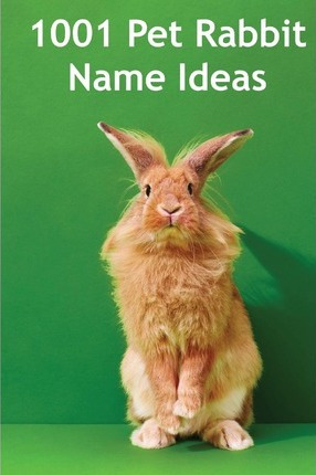 Libro 1001 Pet Rabbit Name Ideas : The Most Popular, Quir...