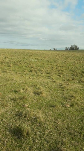 Chacra De 7 Has 2135 M2 Puntas De José Ignacio