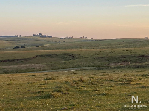 Campo En José Ignacio