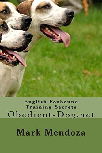 English Foxhound Training Secrets Obedientdognet