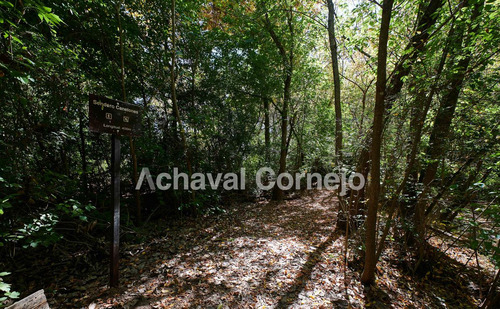 Puertos Escobar - Muelles - Excelente Lote Al Lago Central En Venta.