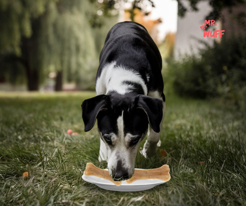 Premios Carnaza Perro 2 Huesos 200gr Mr Wuff Natural