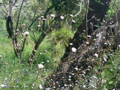 Terreno En Venta En Privada Con Seguridad En Tepoztlán Morelos Con Vista Panorámica