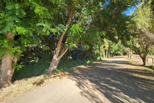 5.000m2 Exclusiva