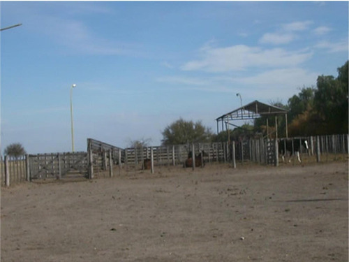 Imagen 15 de 20 de Solida Planta Frigorifica De 55000 M2 Cubiertos Sobre 2220 H