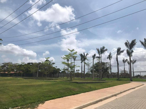 Imagem 17 de 23 de Lote À Venda, 195 M², Varandas Terra Brasilis, Financia - Jacunda - Aquiraz/ce - Te0284