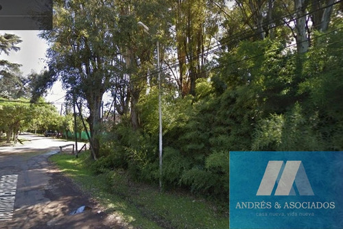 Imagen 2 de 5 de Venta Excelente Lote Bella Vista
