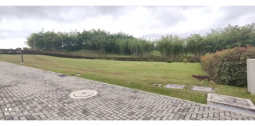 Venta De Lote En Llanogrande, Rionegro