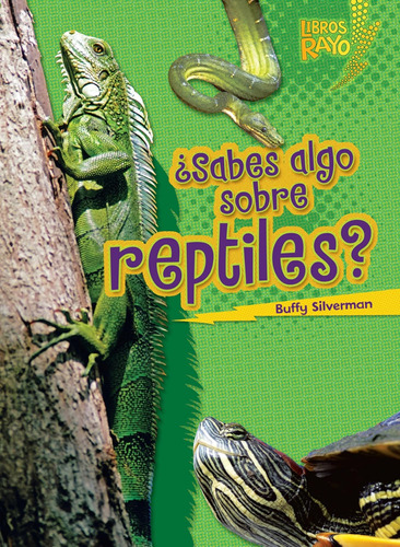 Libro: ¿sabes Algo Sobre Reptiles? (do You Know About Reptil