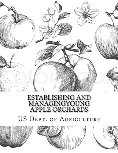 Establishing And Managing Young Apple Orchards