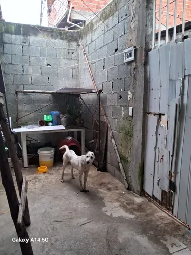 Casa Em Itapevi, 1 Quarto, Cozinha, Banheiro, Varanda/lavanderia