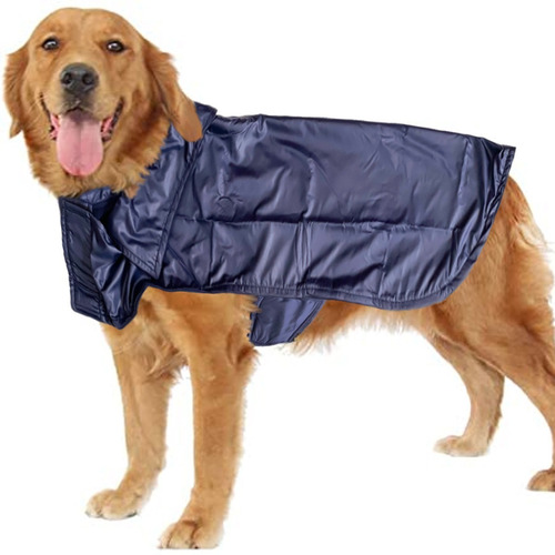 Imagen 5 de 8 de Capa Abrigo Chaleco Ropa Perro . Forrada.talles Grandes