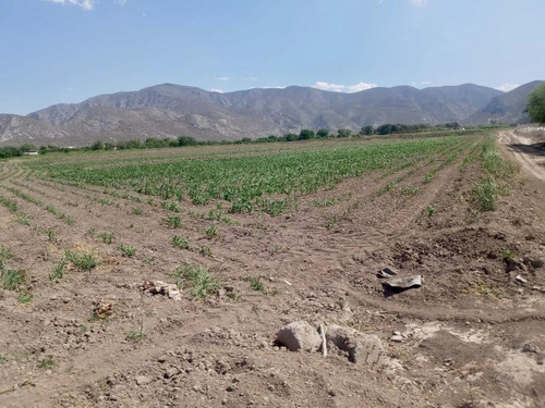 Terreno En Venta En Carlos Real (san Carlos), Lerdo, Durango