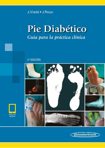 Libro Pie Diabético Guía Para La Práctica Clínica Viadé 
