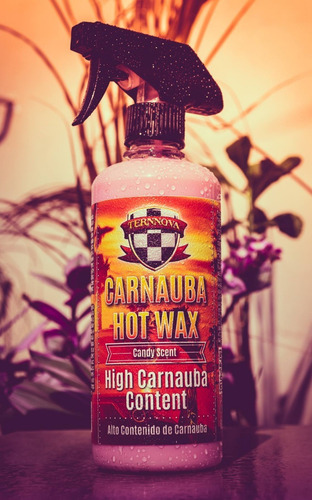 Imagen 6 de 10 de Ternnova | Carnauba Hot Wax | Cera Liquida | 500ml