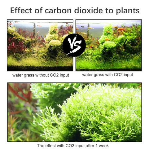 Sistema Generador De Co2 Para Acuarios Diy