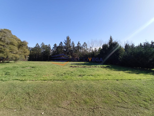 Lote En Venta En Country San Diego Moreno