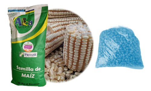 Semilla De Maiz Para Grano Blanco Para Temporal Y Riego 5kg