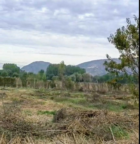 Excelente Terreno 3600 M2 Vi Región (177158)