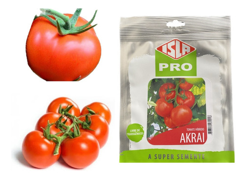 Sementes De Tomate Hibrido Akrai Cartela C/ 50 Sementes