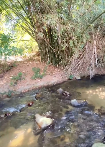 Choroni Venta De Una Posada En El Corazón Del Pueblo Y Con El Rio A Sus Pies, Hermoso Lugar Para Descansar En Tu Propio Negocio.
