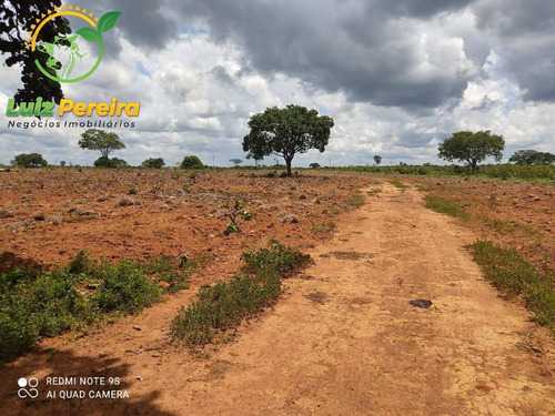 Imagem 2 de 6 de Fazenda Á Venda Em São Valério - To - De 276 Alqueirões (pecuária) - 1772