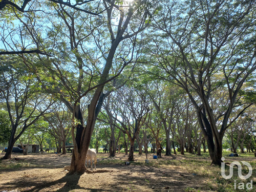 Venta Terreno 0 Ambiente El Trapiche