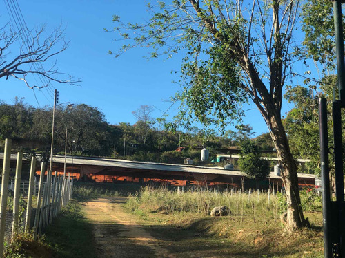 Imagen 3 de 4 de Granja Avícola De 11 Hectáreas De Propiedad Privada