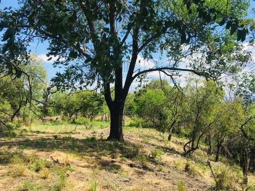 Imagen 20 de 21 de Venta Campo Comercial Sobre Ruta N5 - Villa General Belgrano- Inv0052