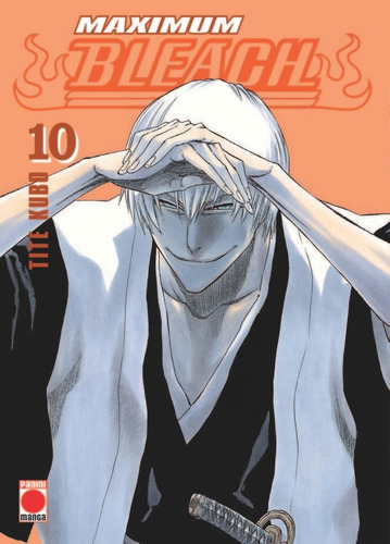 Libro Bleach Maximum 10