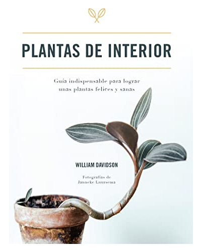 Plantas De Interior Guia Indispensable Para Lograr Unas Plan